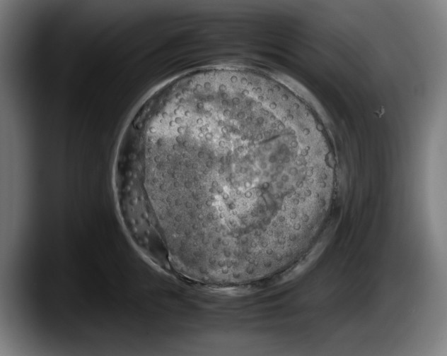 X0000087600855200705251921