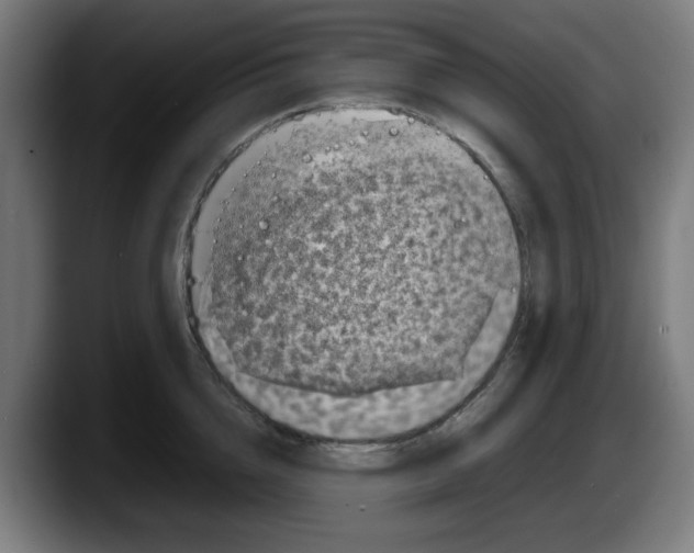 X0000087600856200705251921