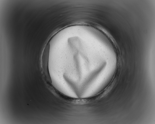 X0000087600858200705251921