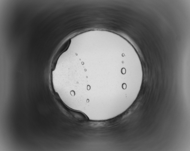 X0000087600861200705251921