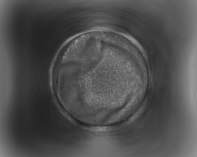 X0000087600862200705251921