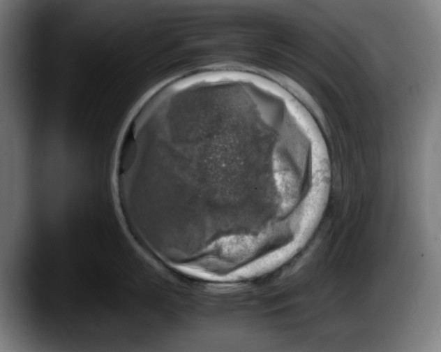 X0000087600863200705251921