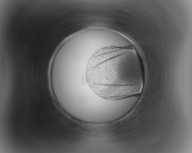 X0000087600864200705251921