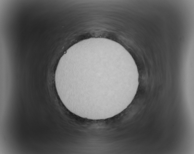 X0000087600865200705251920