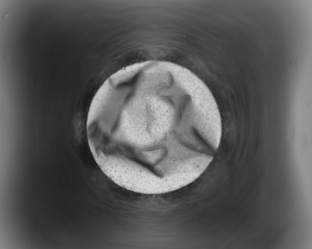 X0000087600866200705251920