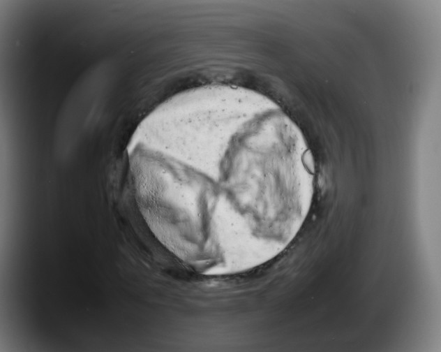 X0000087600867200705251920