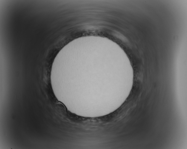 X0000087600869200705251920