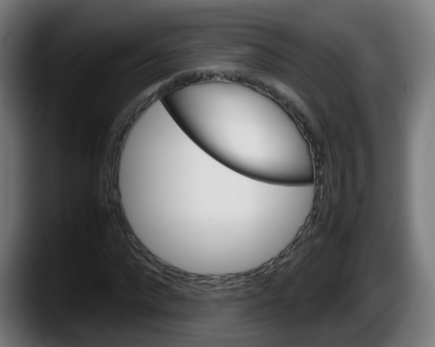 X0000087600872200705251920