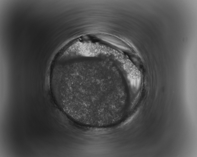 X0000087600877200705251920