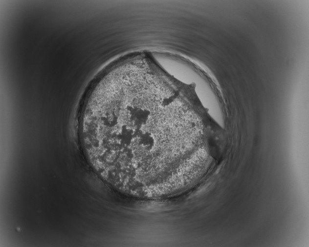 X0000087600879200705251920