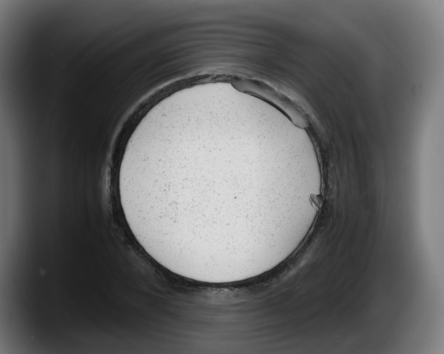 X0000087600880200705251920