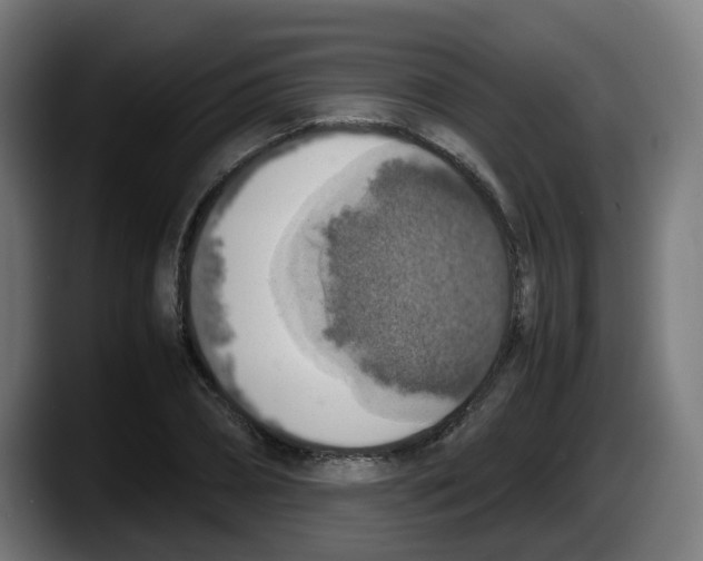 X0000087600882200705251920