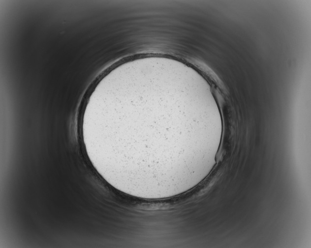 X0000087600884200705251920