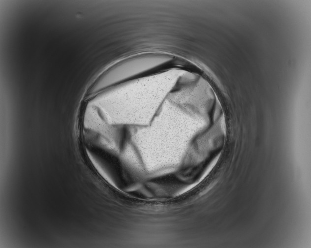 X0000087600885200705251920