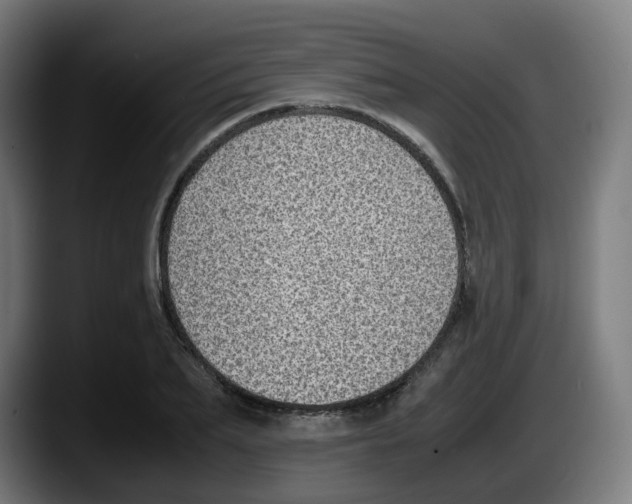 X0000087600887200705251920