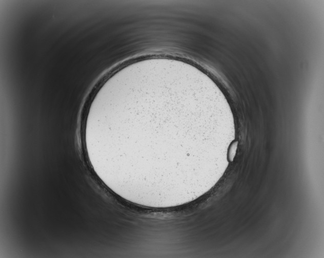 X0000087600888200705251920