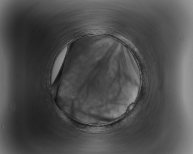 X0000087600889200705251920