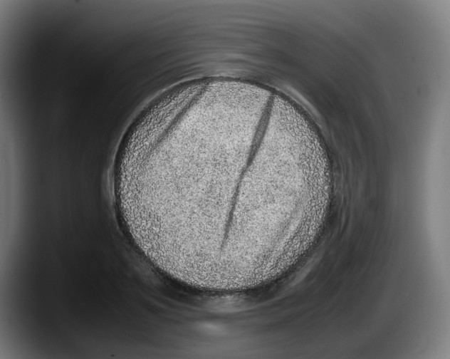 X0000087600891200705251920