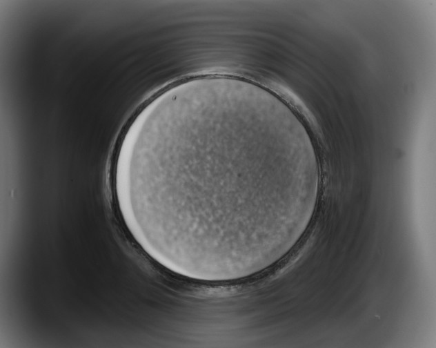 X0000087600892200705251920