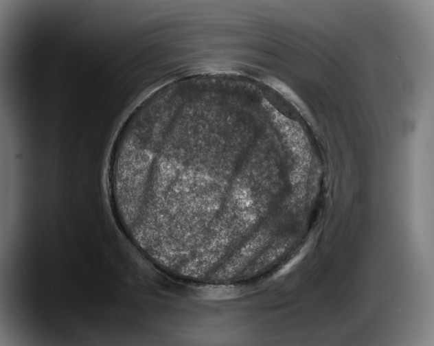 X0000087600893200705251920