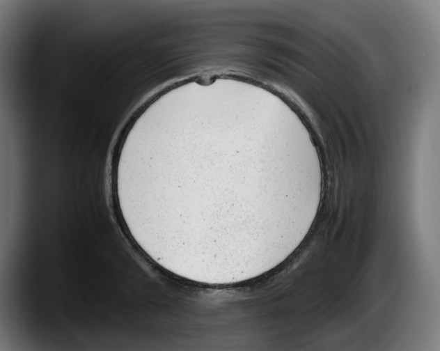 X0000087600894200705251920