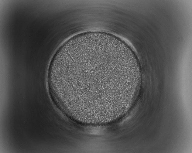 X0000087600895200705251920