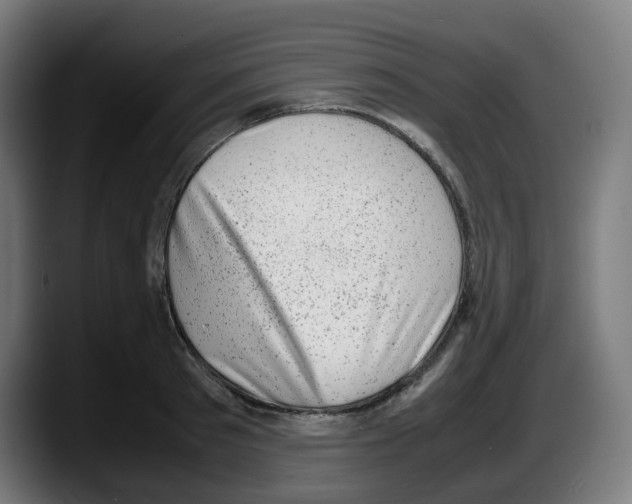 X0000087600897200705251920