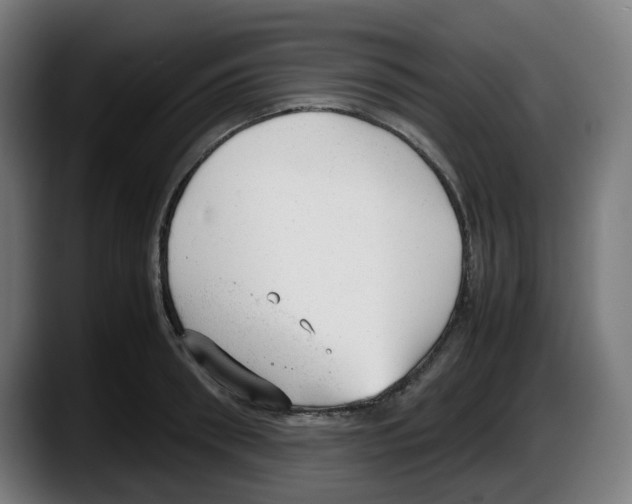 X0000087600898200705251920