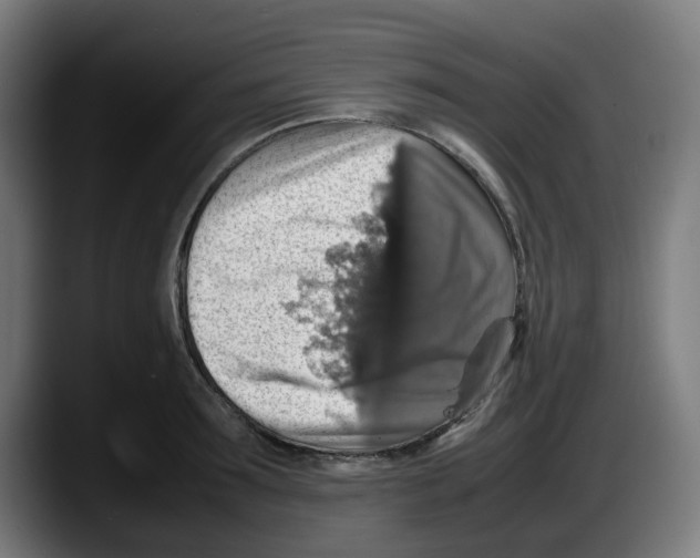 X0000087600899200705251920