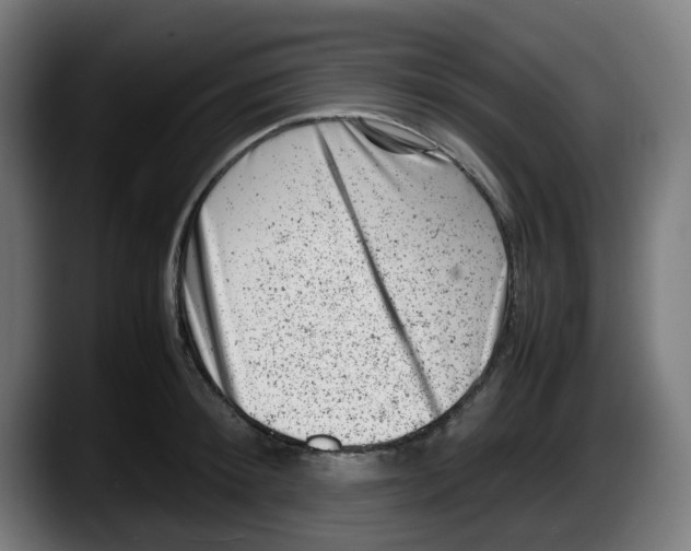 X0000087600900200705251920