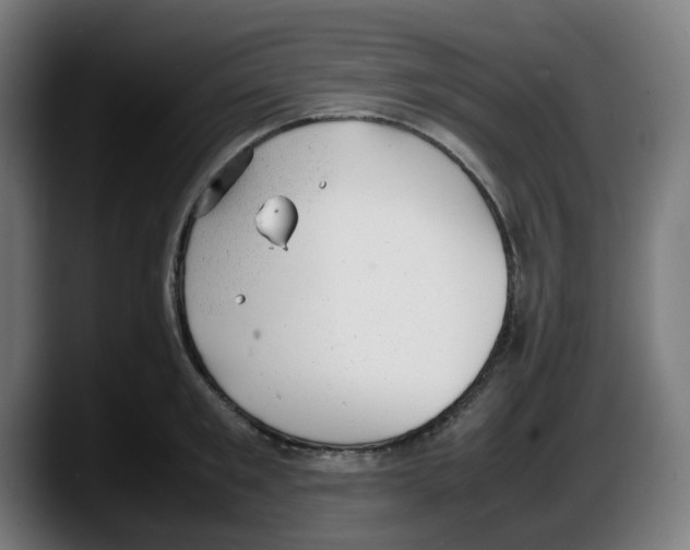 X0000087600901200705251920