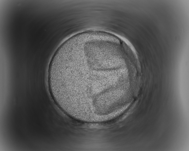 X0000087600903200705251920