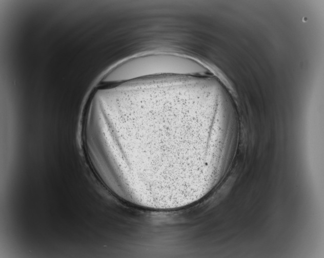 X0000087600904200705251920