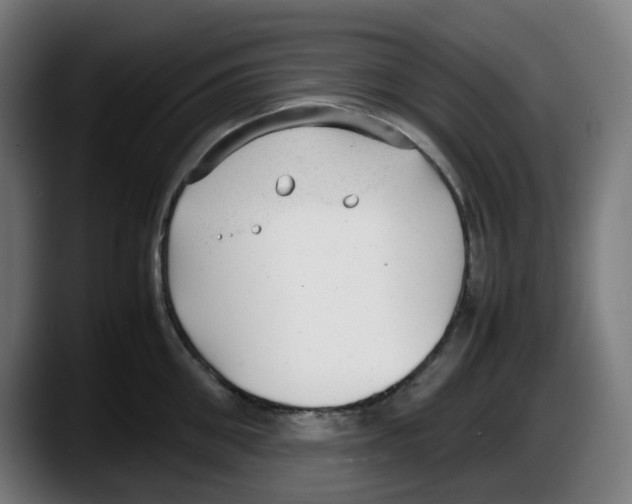 X0000087600906200705251920