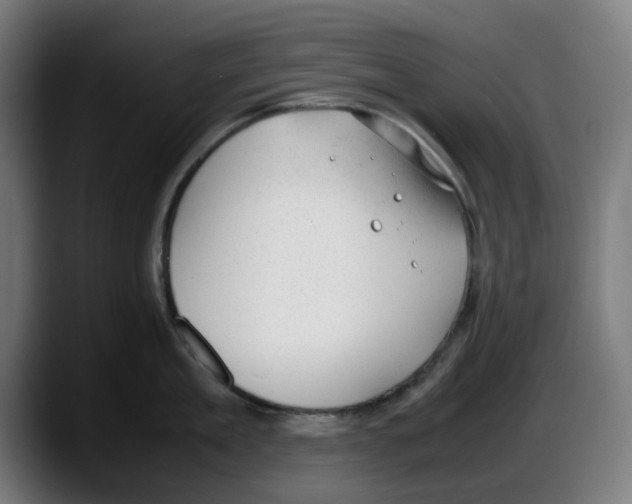 X0000087600909200705251919