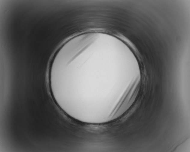 X0000087600910200705251919