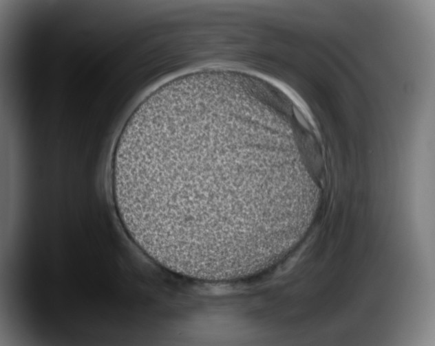 X0000087600911200705251919