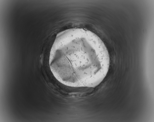 X0000087600914200705251919