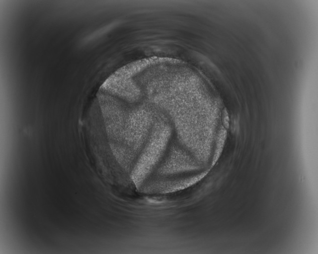 X0000087600915200705251919