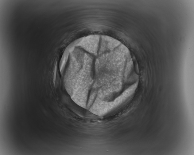 X0000087600916200705251919