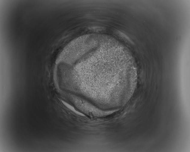 X0000087600917200705251919