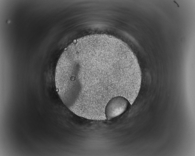 X0000087600918200705251919