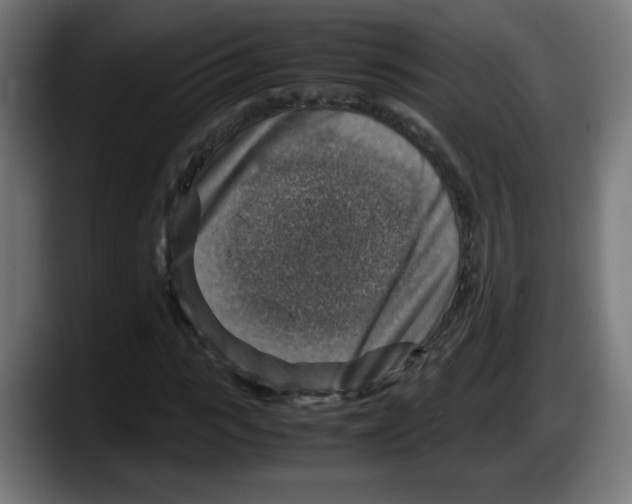 X0000087600919200705251919