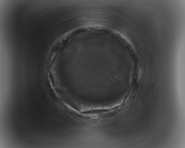 X0000087600920200705251919