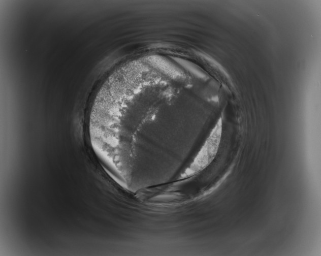 X0000087600921200705251919