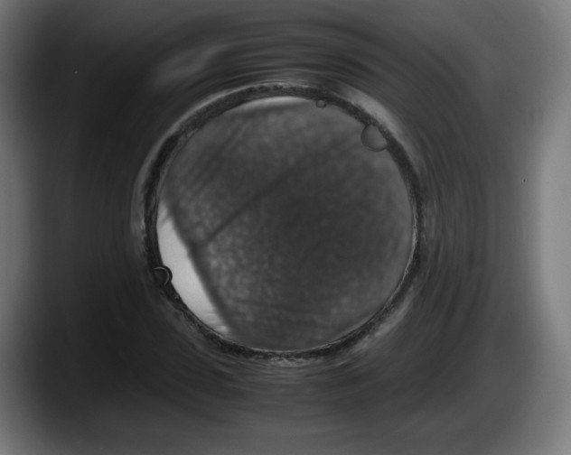 X0000087600923200705251919