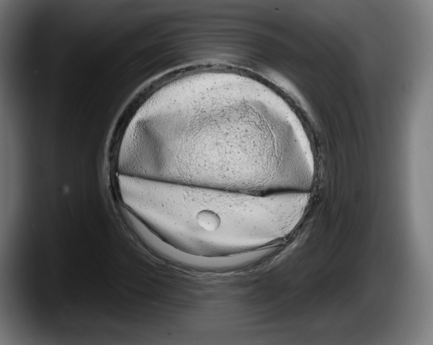 X0000087600924200705251919