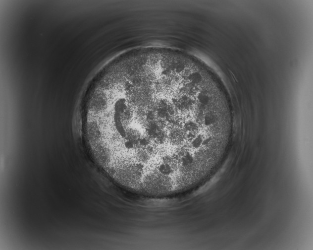 X0000087600925200705251919