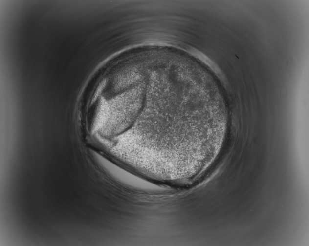 X0000087600926200705251919