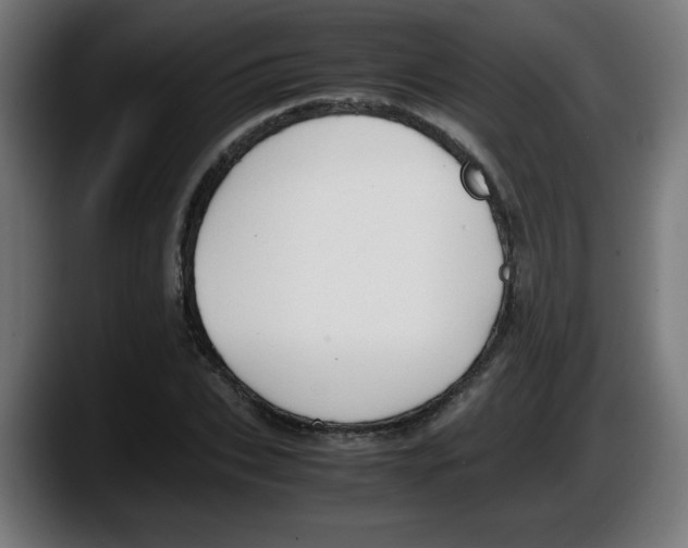 X0000087600927200705251919